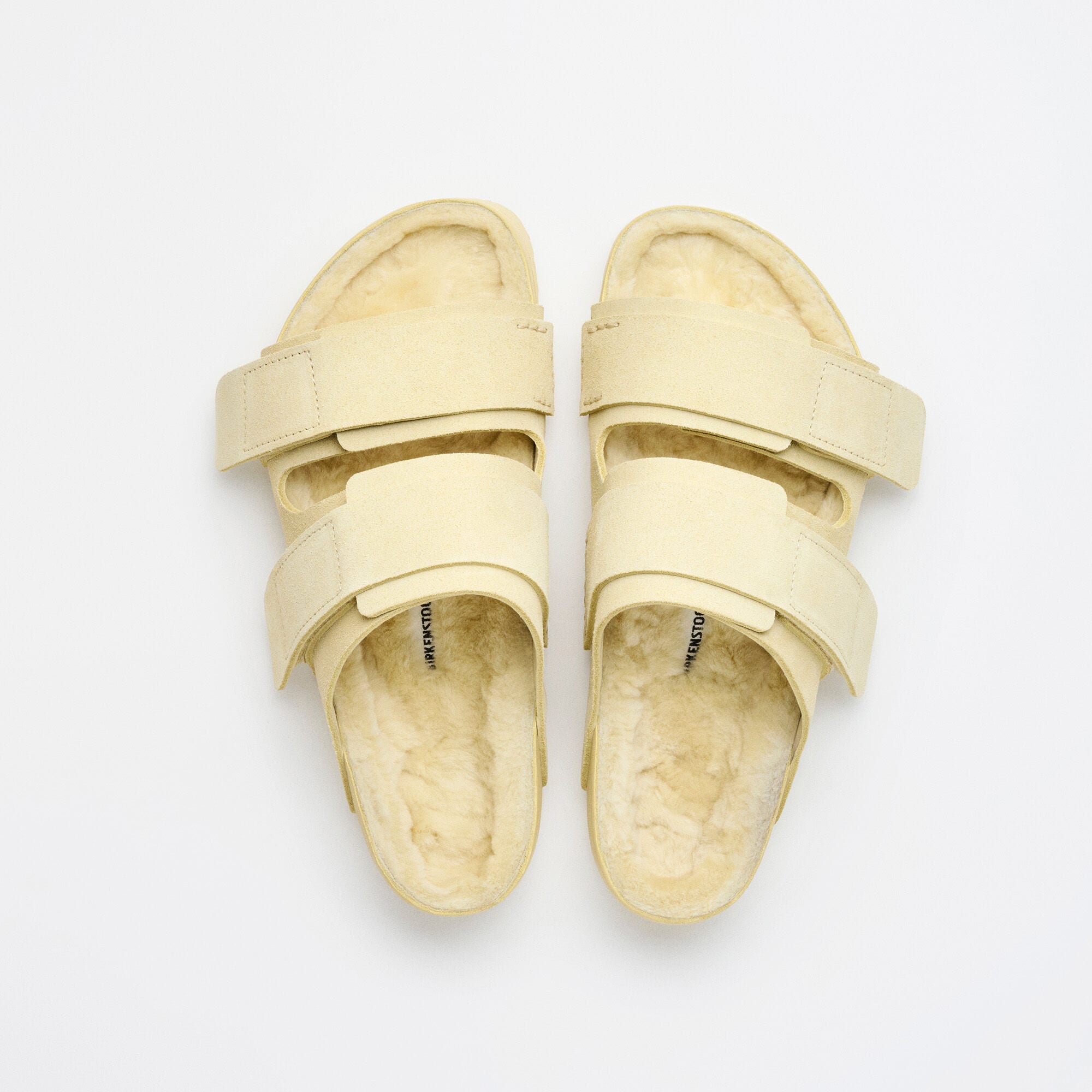 Uji Suede Tekla